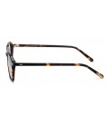 PAUL TH4817 DARK TORTOISE 061