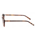 PAUL TH4817 BROWN TORTOISE 065