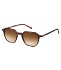 PAUL S TH4817S BROWN TORTOISE 065