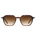 PAUL S TH4817S BROWN TORTOISE 065