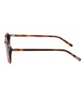 PAUL S TH4817S BROWN TORTOISE 065